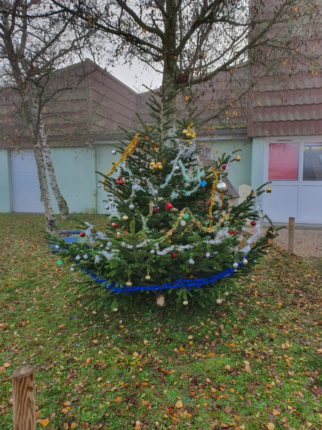 Le sapin participatif de la Résidence Ambroise&nbsp;Croizat…
