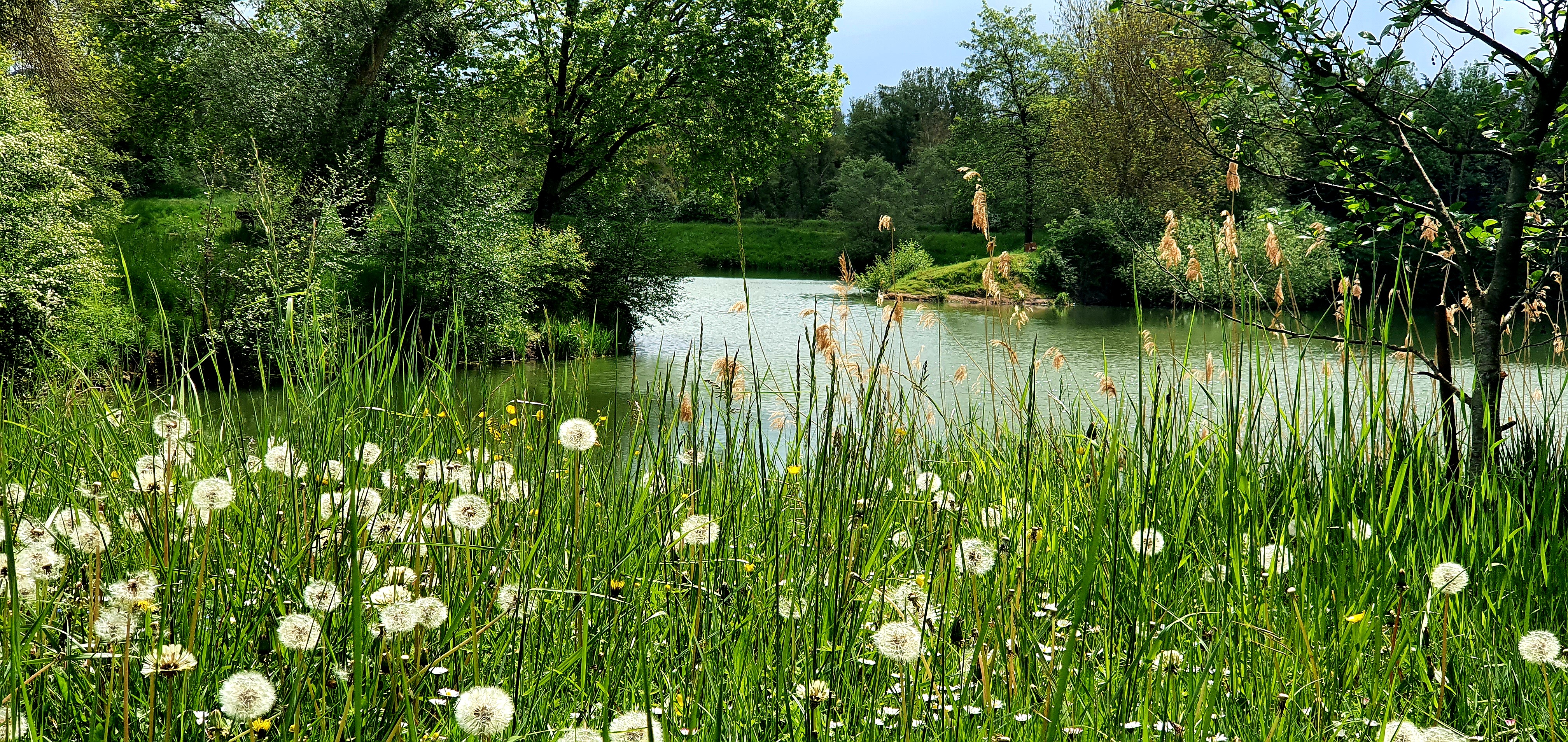 Carnet de campagne – Préserver l&rsquo;environnement et la biodiversité