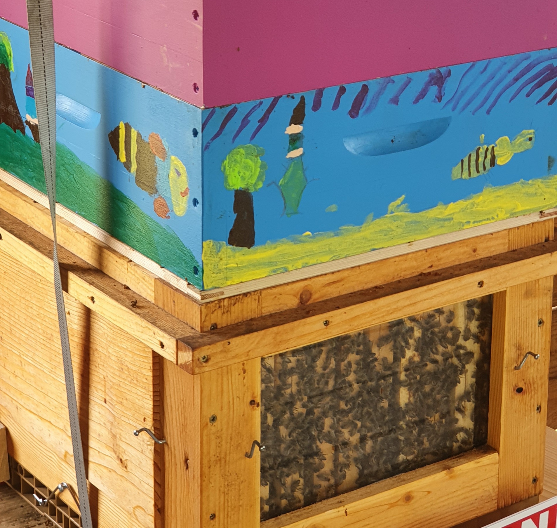 Carnet de campagne – La biodiversité (1/2)