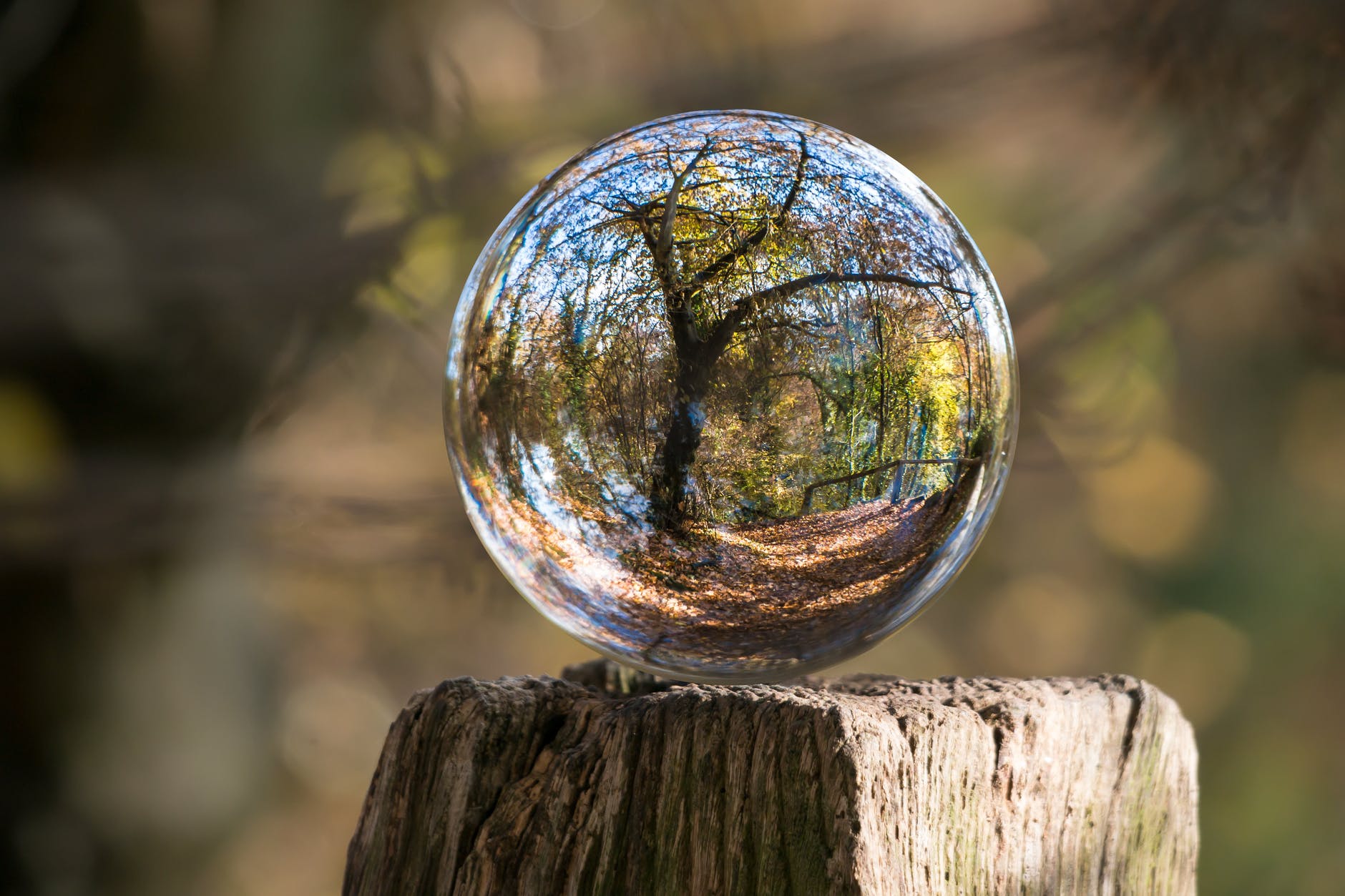 Politique climatique : pour les changements de comportement, c&rsquo;est au plus riche de montrer l&rsquo;exemple !